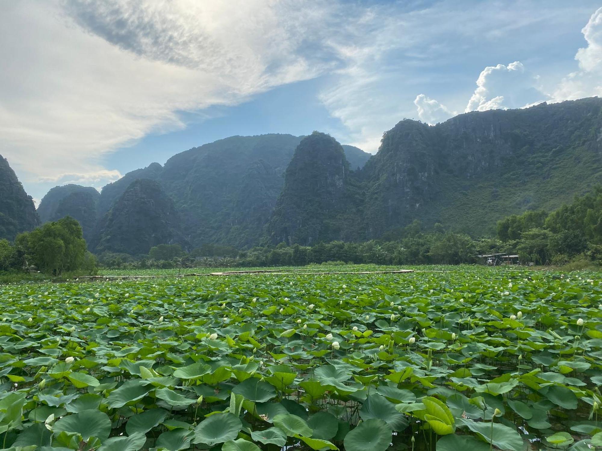 Halise Home And Retreat Ninh Binh Exterior foto